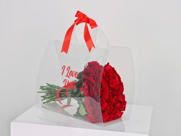 Transparent love bag 4