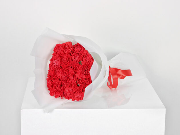 Cold winter carnation bouquet