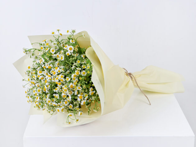 Daisy Flower Bouquet