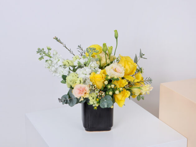 Ceramics BY (Small Size)