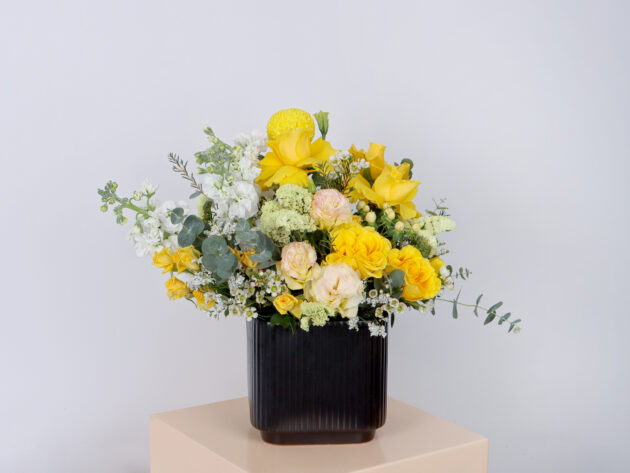 Ceramics BY ( Large Size ) - Image 2