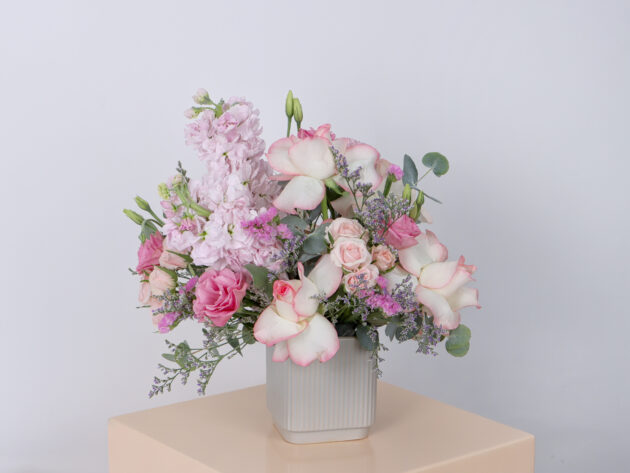 Ceramics GMP (Small Size) - Image 2