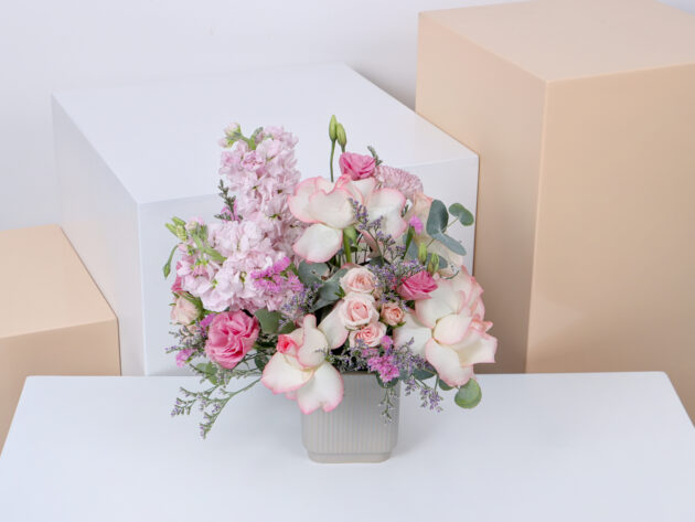 Ceramics GMP (Small Size) - Image 3