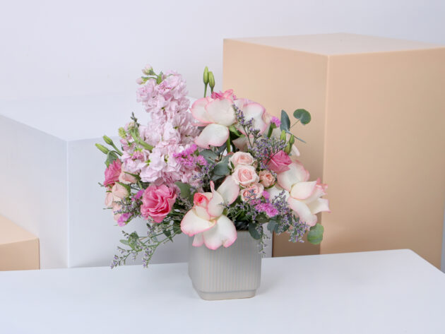 Ceramics GMP (Small Size) - Image 4