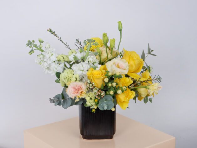 Ceramics BY (Small Size) - Image 2