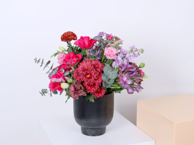 Ceramics BF ( Medium Size )