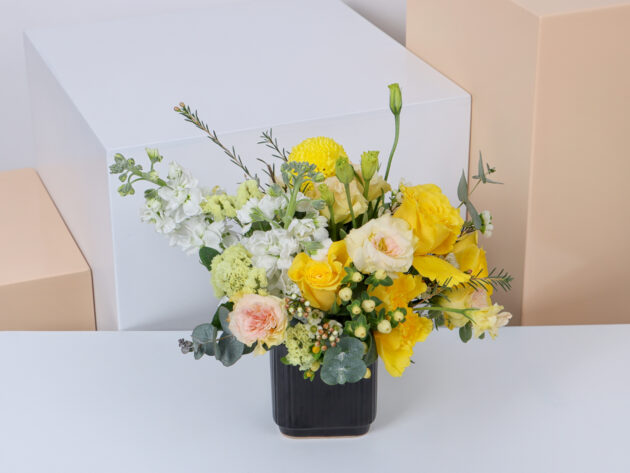 Ceramics BY (Small Size) - Image 3