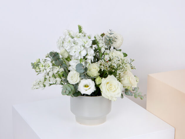 Ceramics GW ( Small Size )