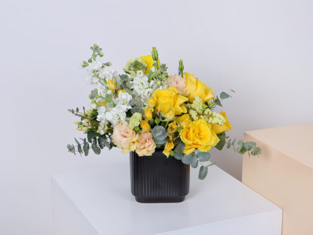 Ceramics BY (Medium Size)