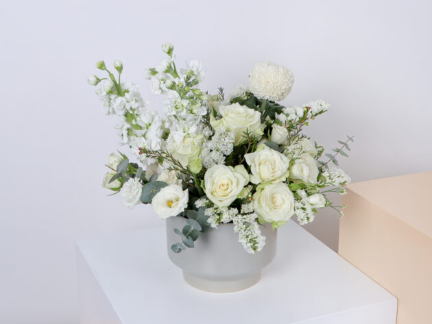 Ceramics GW ( Medium Size )