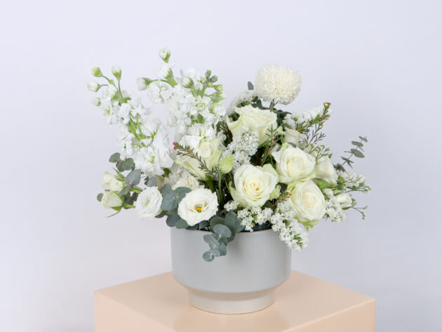 Ceramics GW ( Medium Size ) - Image 3