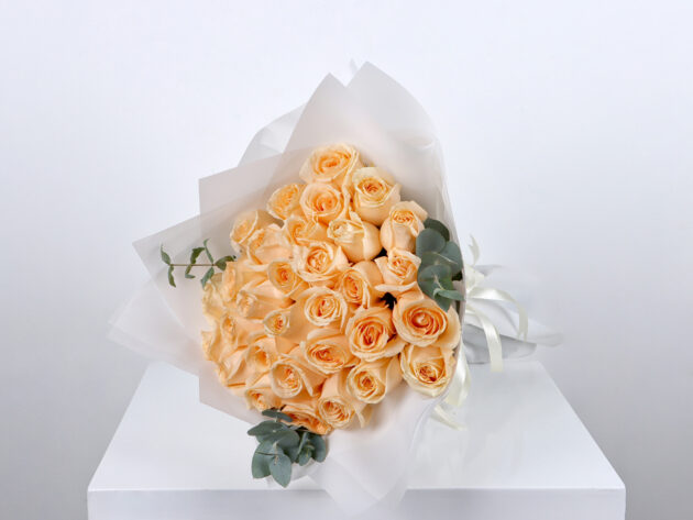Peach Roses  W