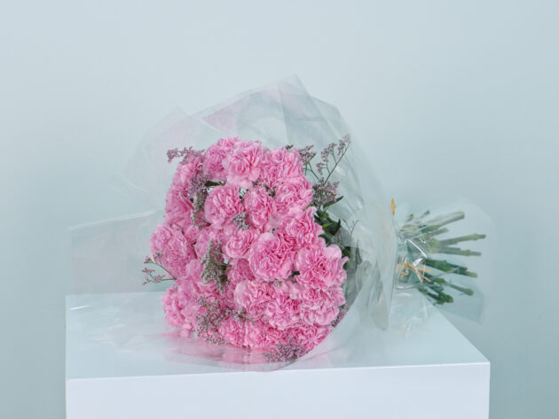 Pink Cornish flower