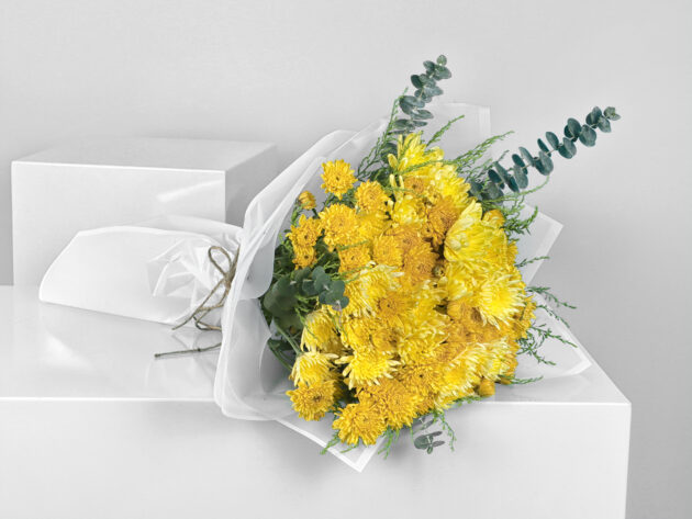Sun chrysanthemum