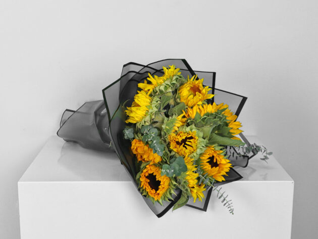 Sunflower In Black