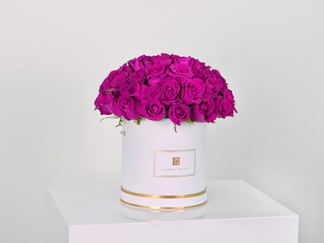 Gram box 4 - Image 3