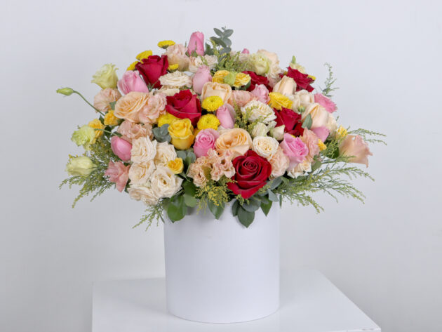 Huge joy box - Image 3