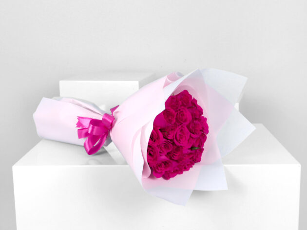 Fuchsia Paris