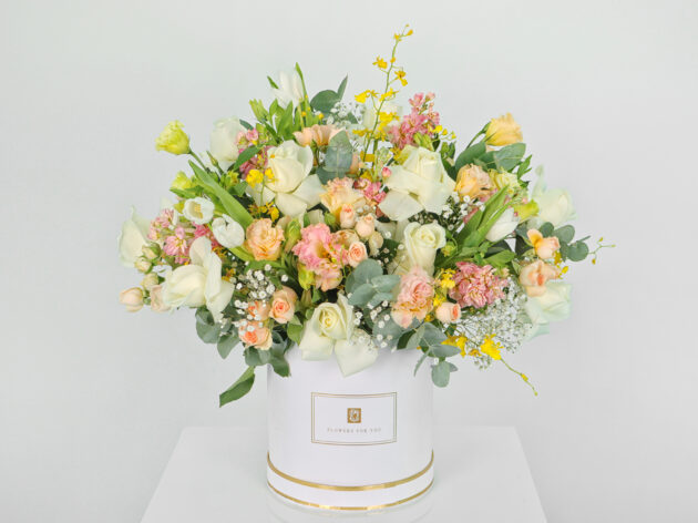 Soft summer box