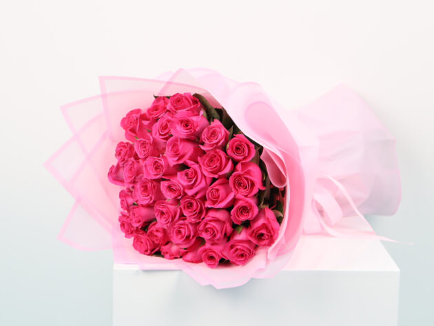 40 Fuchsia