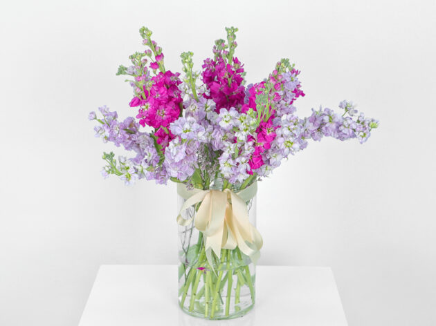 vase 26