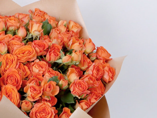 Baby Roses Orange 20 - Image 3
