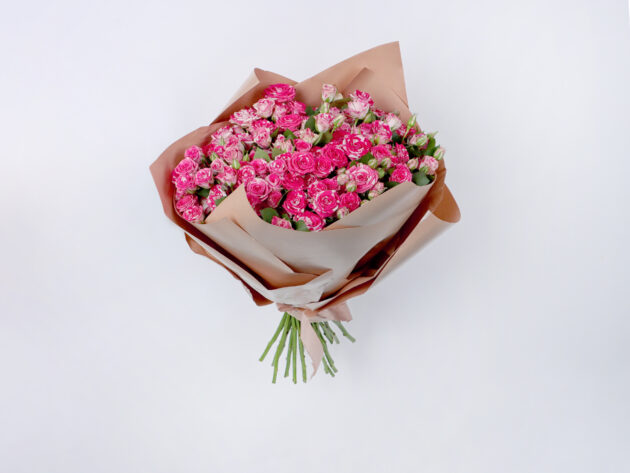 Baby Roses firework 20