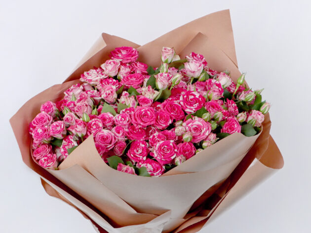 Baby Roses firework 20 - Image 3