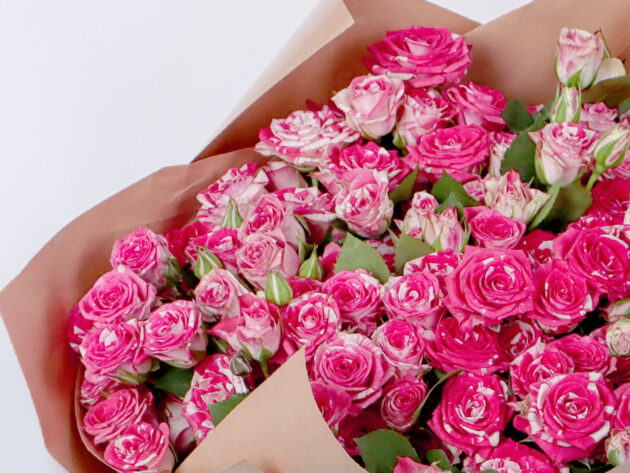 Baby Roses firework 20 - Image 2