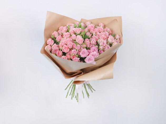 Baby Roses Odilia 20