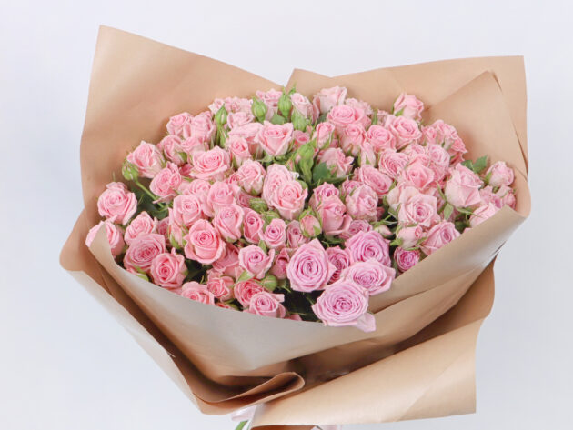 Baby Roses Odilia 20 - Image 3