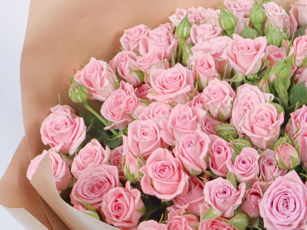 Baby Roses Odilia 20 - Image 2