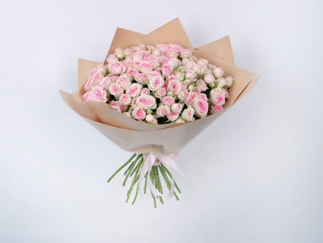 Baby Roses dinara 20