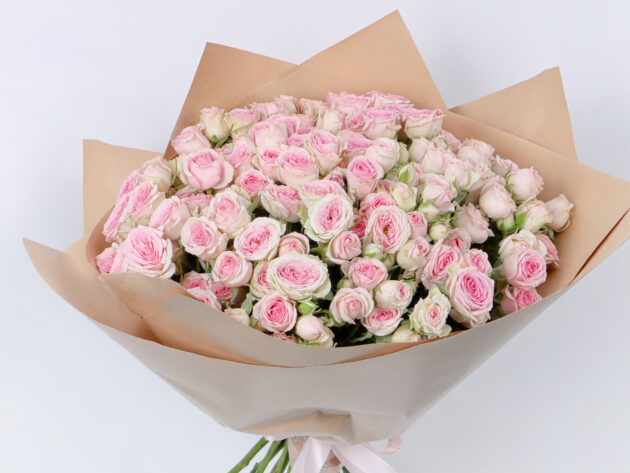Baby Roses dinara 20 - Image 3