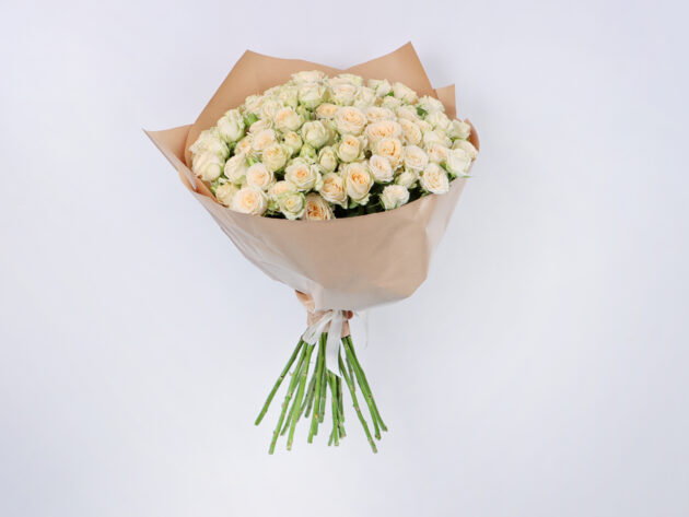Baby Roses Salinaro 20