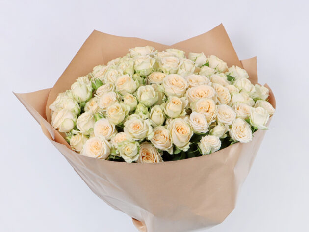 Baby Roses Salinaro 20 - Image 3