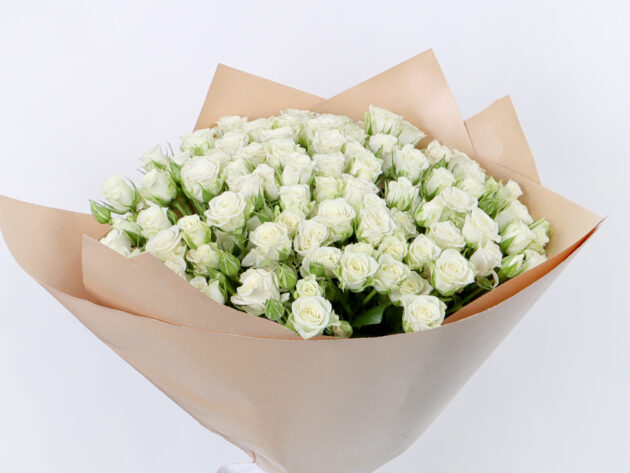 Baby Roses Snow Flake 20 - Image 3