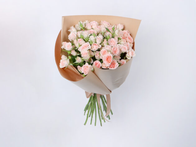 Baby Roses Sweet Sara 20