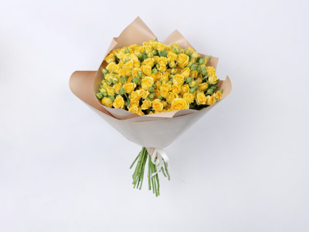 Baby Roses Mariah 20
