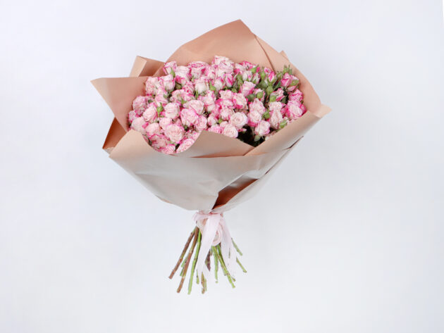 Baby Roses Reflex 20
