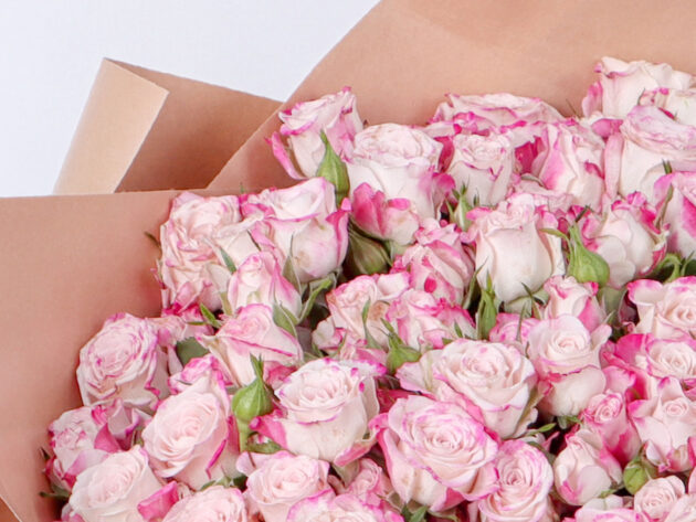 Baby Roses Reflex 20 - Image 3