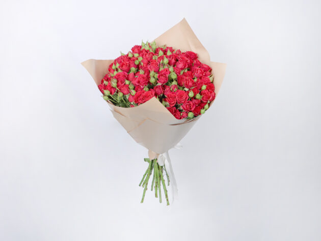 Baby Roses Mirable 20