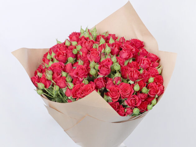 Baby Roses Mirable 20 - Image 2