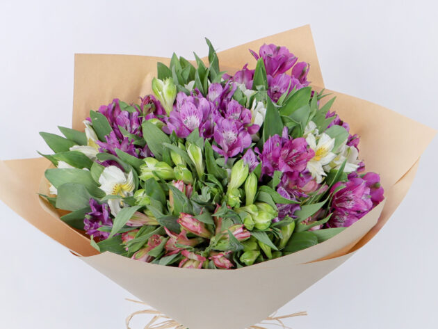 Alstroemeria Mix - Image 2
