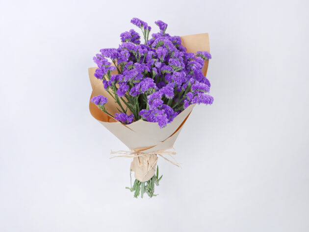 Statice Purple
