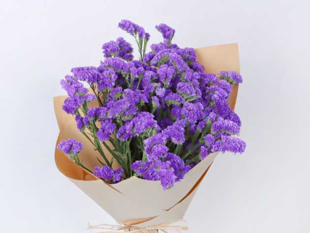 Statice Purple - Image 2