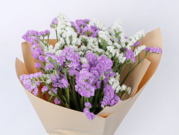 Statice white and pink - Image 3