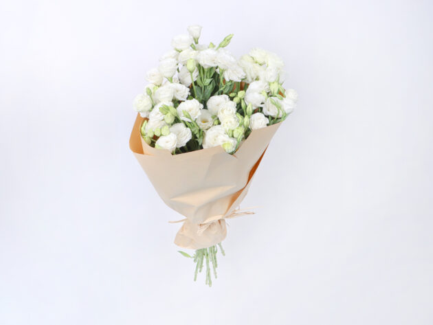 Astoma white
