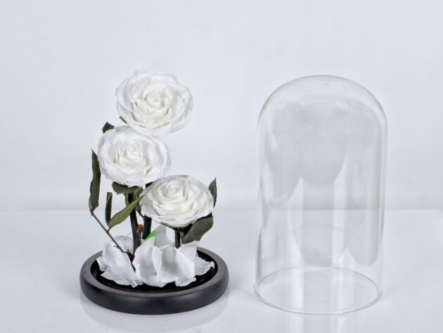 Infinity White 2